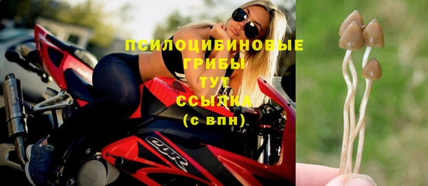 спайс Пролетарск
