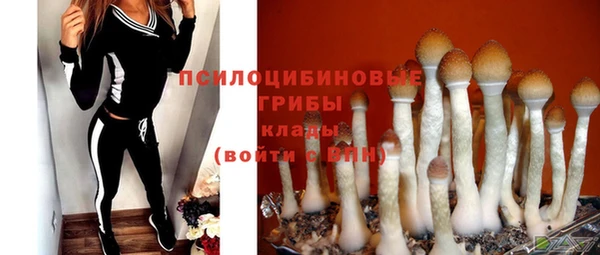 прущие грибы Бугульма