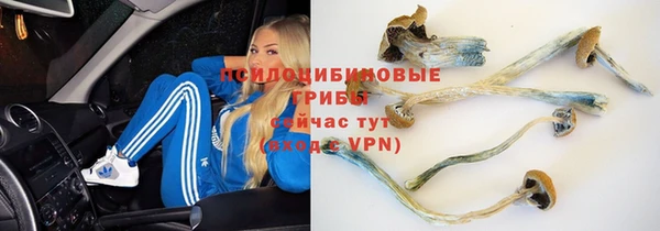 соль ск Бронницы