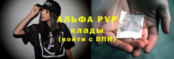 круглые Бородино
