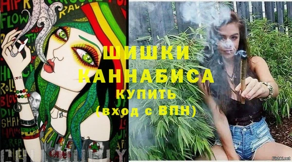 прущие грибы Бугульма