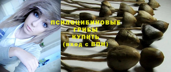 круглые Бородино