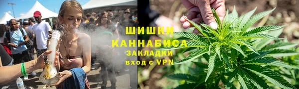 прущие грибы Бугульма