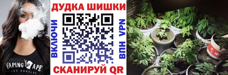 Бошки Шишки VHQ  где найти наркотики  Гусев 